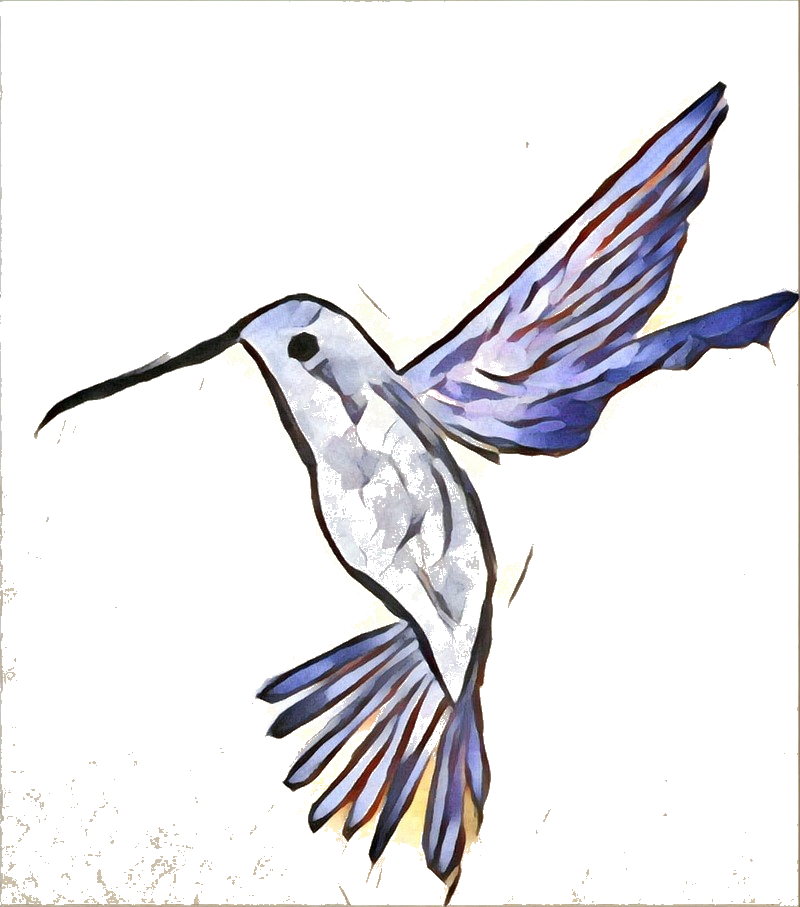 Hummingbird Medicine by Willowsilk